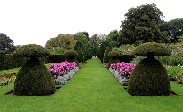 Парк дармера в Англии