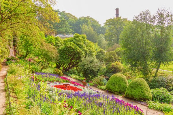 Парк чанри Англия