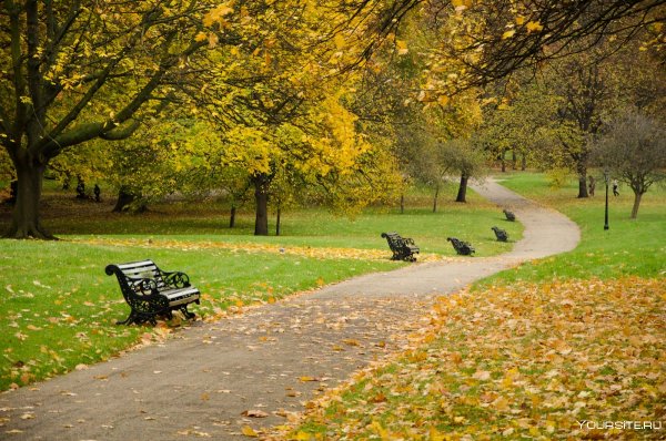 Грин парк Англия