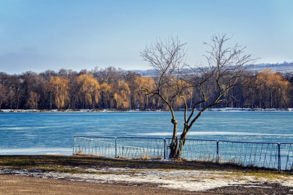 Городское озеро Ессентуки зимой