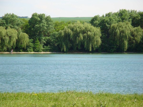 Городское озеза Ессентуки