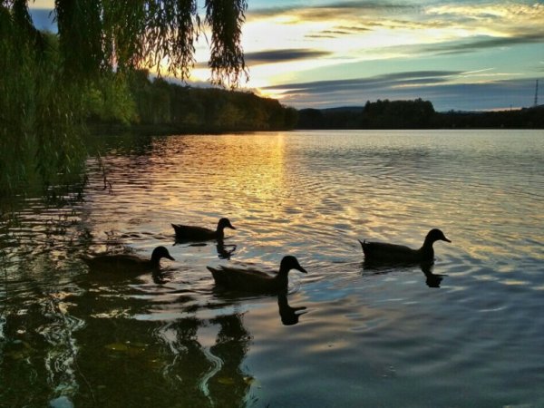 Ессентуки озеро