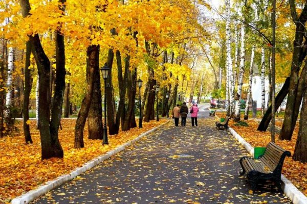 Парк Пушкина осенью Саранск