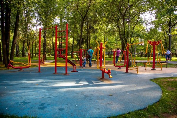 Лианозовский парк тренажеры