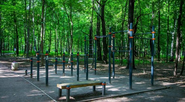 Парк Сокольники воркаут