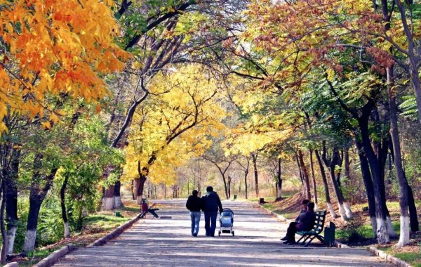 Элиста Калмыкия осень природа