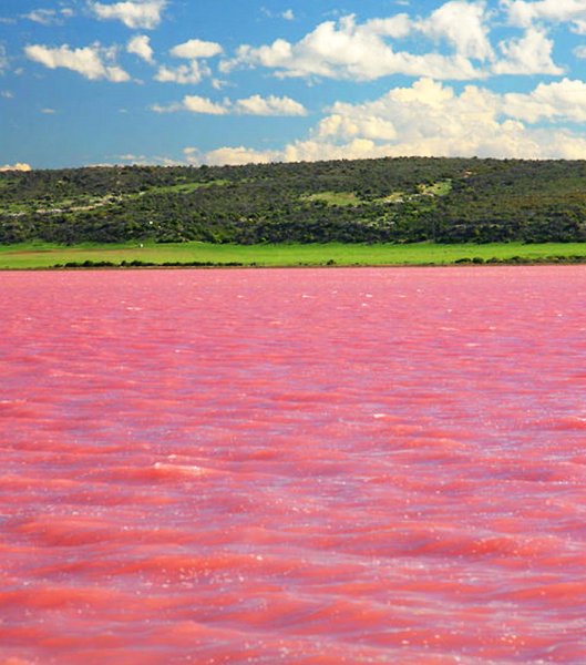 Розовые озера мира: расположение, краткое описание и фото