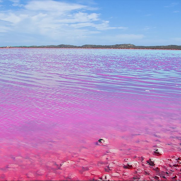 Картинки австралии розового озера (70 фото) » Картинки и статусы про  окружающий мир вокруг