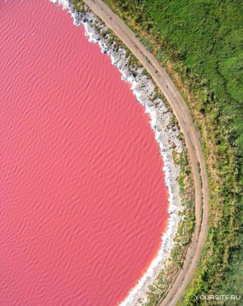 Озеро Хиллер – необычное розовое озеро Австралии