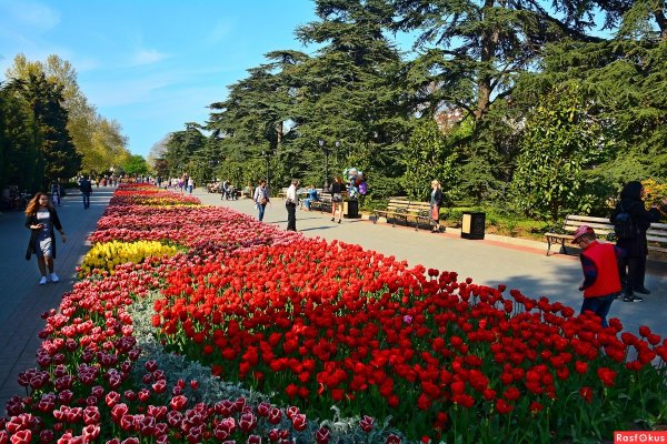Родопский бульвар Махачкала