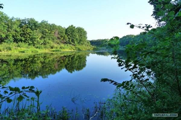 Озёра Воронежской области