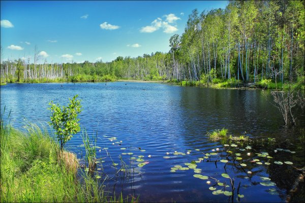 Озеро Маклок