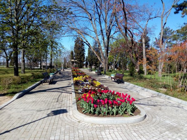 Малахов Курган в Севастополе клумбы