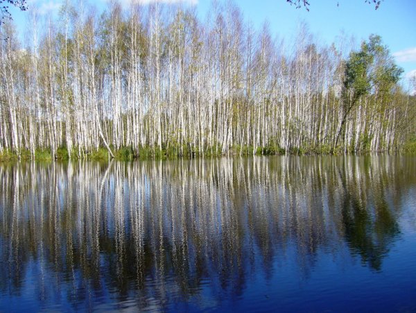 Жировское озеро Воронежская область