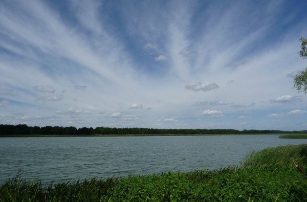 Озеро Погоново Воронежская