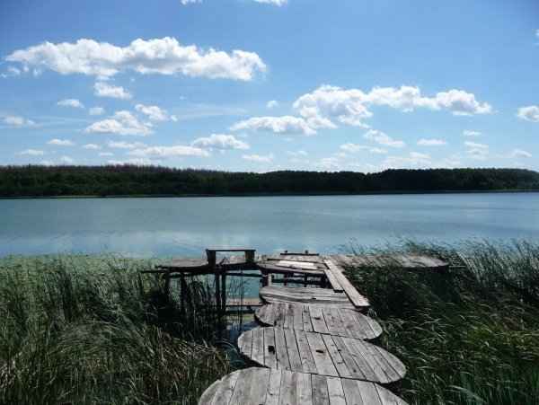 Погоново озеро Воронеж