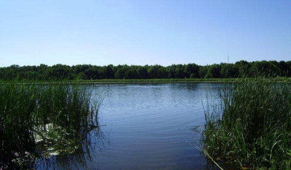 Озеро Кременчуг Воронежская область