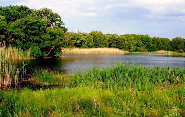 Озеро богатое Лиски