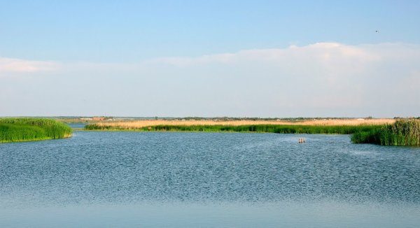 Озеро Ильмень Воронежская область