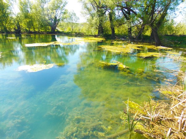 Озеро любви Воронежская область