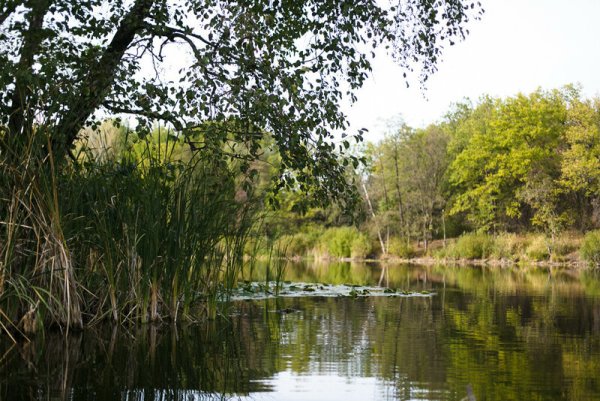 Озеро Кременчуг Воронежская область