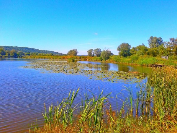 Речка в Подгорном Воронеж