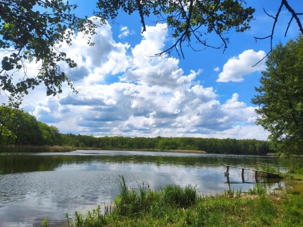 Озеро Немереж Петропавловский район