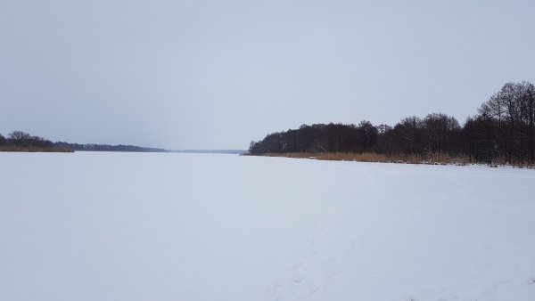 Озеро Погоново Воронежская