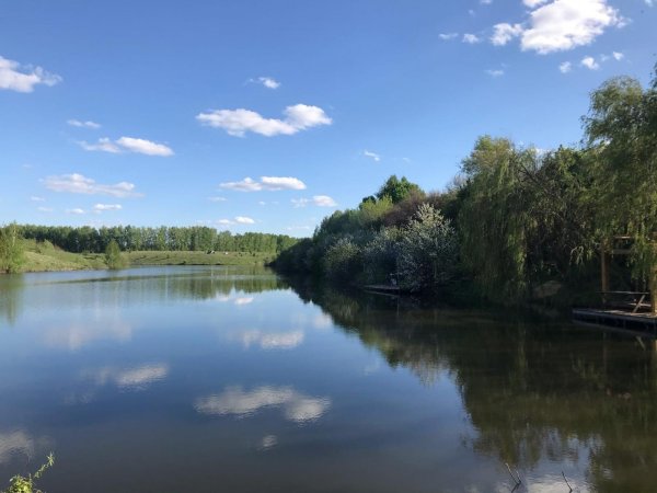 Озеро богатое Лиски Воронежской