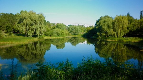 Воронежские озера Самара