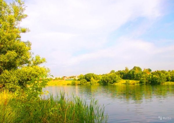 Пруд Богоявленовка Воронеж