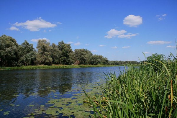 Река ворона в Уварово