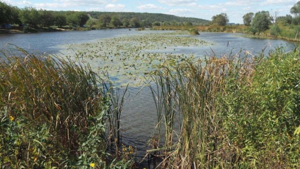 Озеро круглое Воронежская область