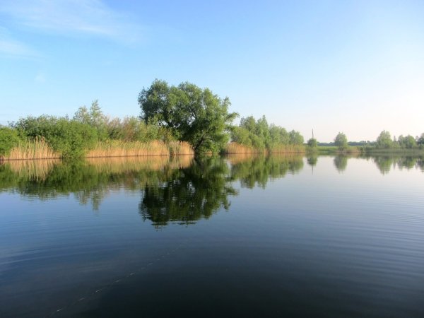 Пруд Троицкий Воронежская область