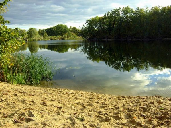 Река Икорец Воронежской области