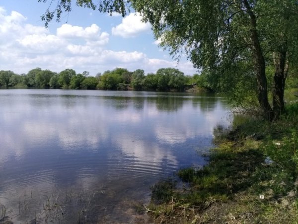 Шиловский пруд Воронеж