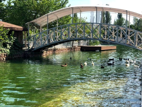 Парк Мирзо Улугбека в Ташкенте