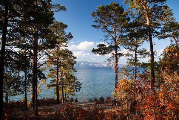 Листвянка осенью