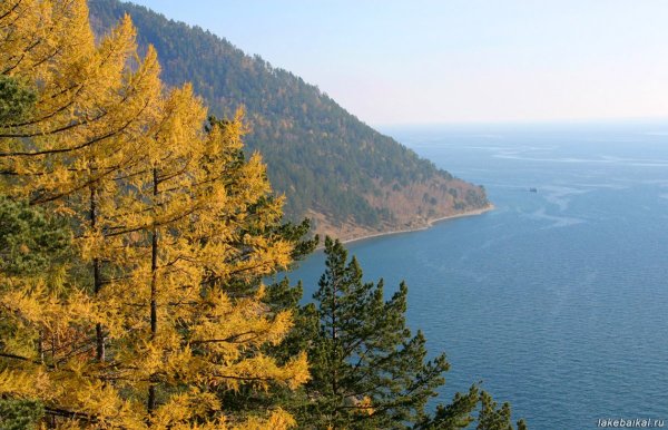 Листвянка Байкал осень
