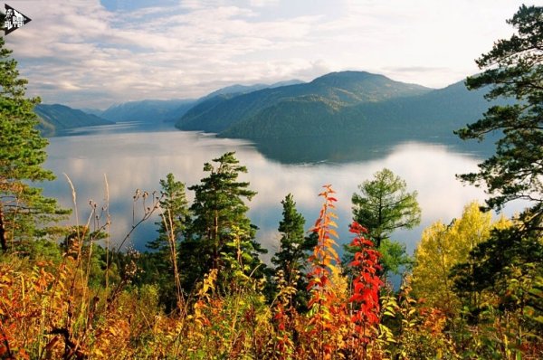 Природа Алтая Телецкое озеро