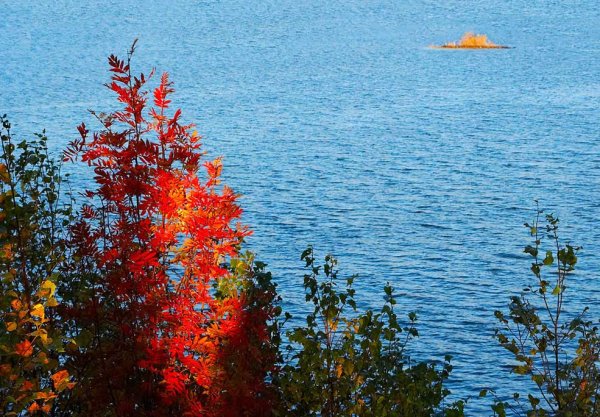 Осень на берегу Байкала