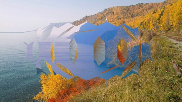 Байкал коллаж