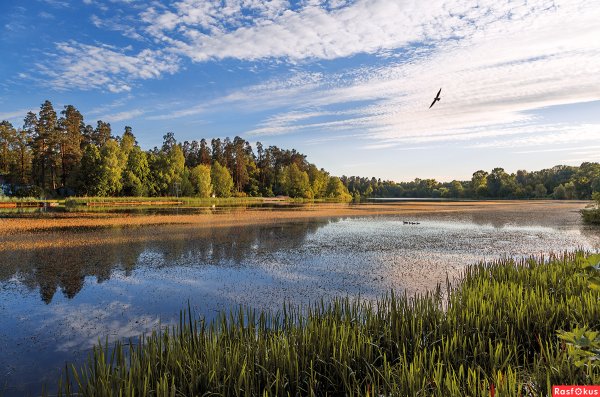 Гладышевское озеро Ленинградская область