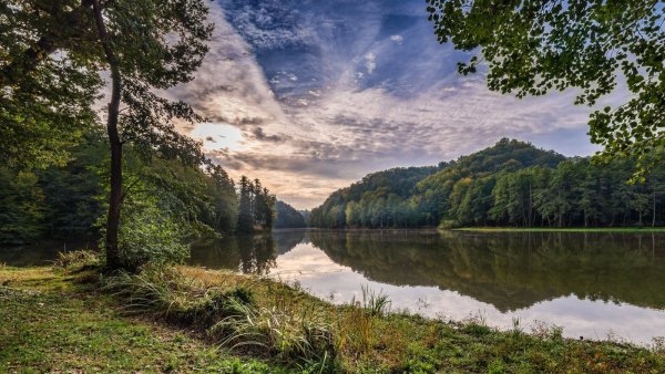 Природа река