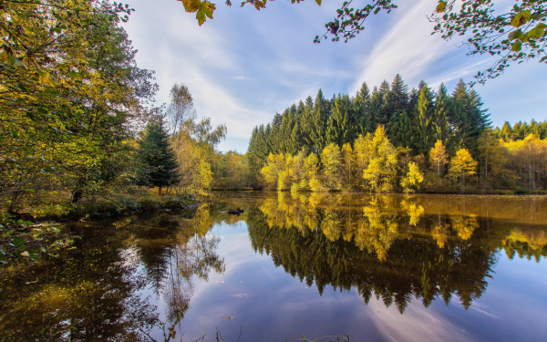 Осень река лес озеро