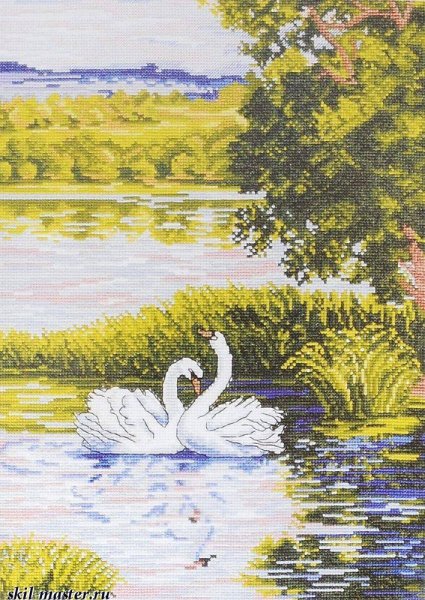 Риолис лебеди 662