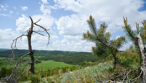 Хвалынский национальный парк Саратовская область