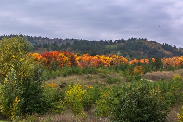 Хвалынский национальный парк природа