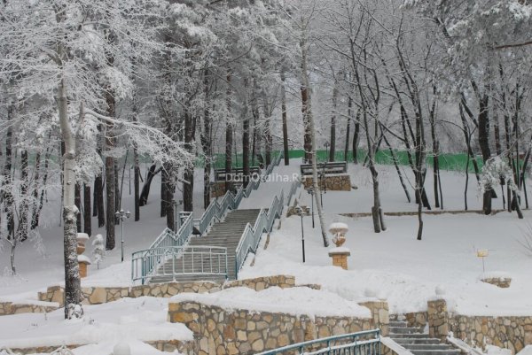 Хвалынск парк отель Хвалынский