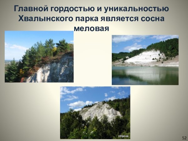 Национальный парк Хвалынский в Саратовской области проект